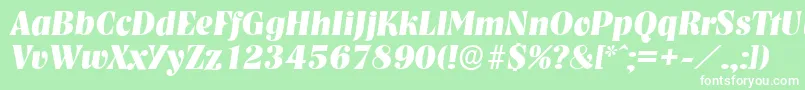 NashvilleserialXboldItalic Font – White Fonts on Green Background