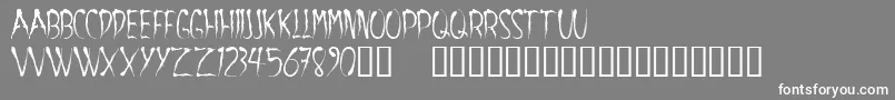 フォントAracnoide – 灰色の背景に白い文字