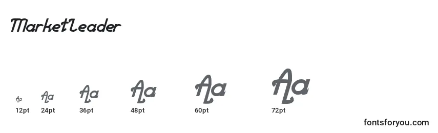 MarketLeader Font Sizes