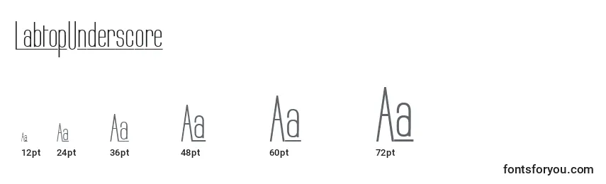 LabtopUnderscore Font Sizes