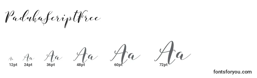 Größen der Schriftart PadukaScriptFree