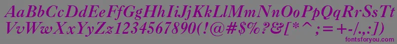 Caslonc540btBolditalic Font – Purple Fonts on Gray Background