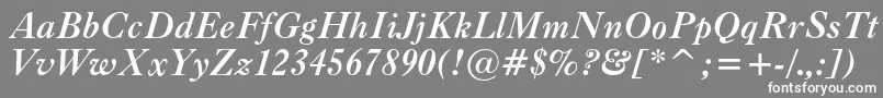 フォントCaslonc540btBolditalic – 灰色の背景に白い文字