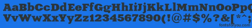 Ukrainianxeniaextended Font – Black Fonts on Blue Background