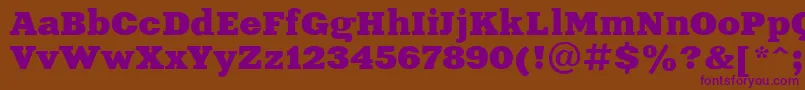 Ukrainianxeniaextended Font – Purple Fonts on Brown Background