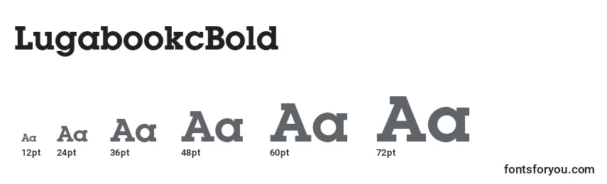 LugabookcBold Font Sizes