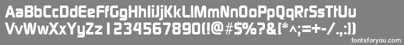 ModaerneheavyRegular Font – White Fonts on Gray Background