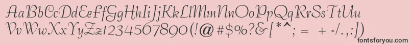 GeCoterieScriptNormal Font – Black Fonts on Pink Background