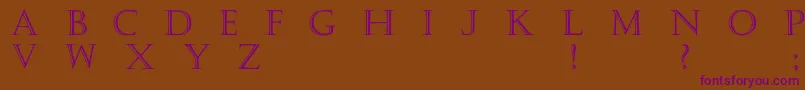 Haute-fontti – violetit fontit ruskealla taustalla