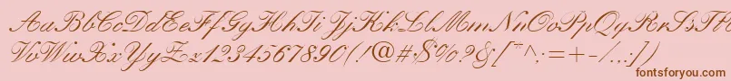 KuenstlerScriptLtMedium Font – Brown Fonts on Pink Background