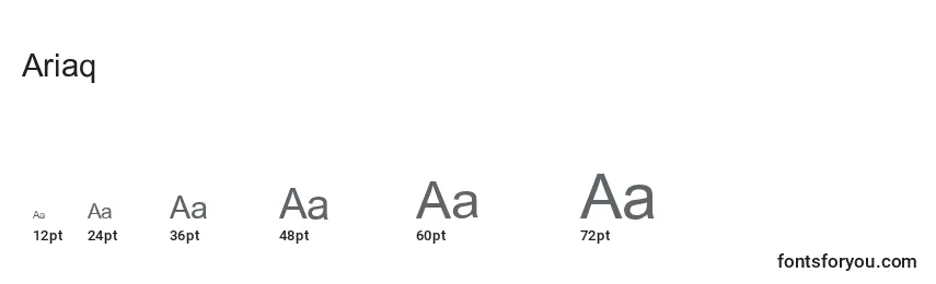 Размеры шрифта Ariaq