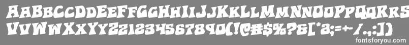 Hippocketrotal Font – White Fonts on Gray Background