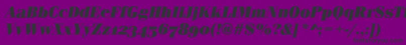 FerraraOsfUltraItalic Font – Black Fonts on Purple Background