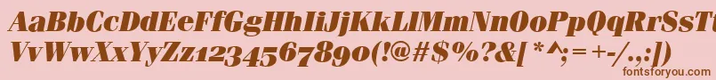 FerraraOsfUltraItalic Font – Brown Fonts on Pink Background