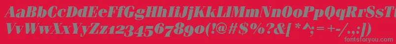 FerraraOsfUltraItalic Font – Gray Fonts on Red Background