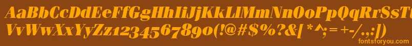 More about FerraraOsfUltraItalic Font FerraraOsfUltraItalic Font – Orange Fonts on Brown Background
