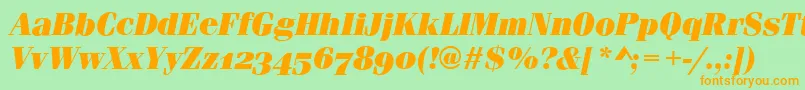 FerraraOsfUltraItalic Font – Orange Fonts on Green Background