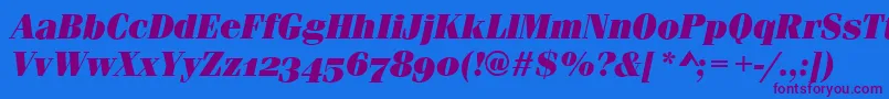 FerraraOsfUltraItalic Font – Purple Fonts on Blue Background