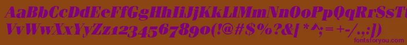 FerraraOsfUltraItalic Font – Purple Fonts on Brown Background