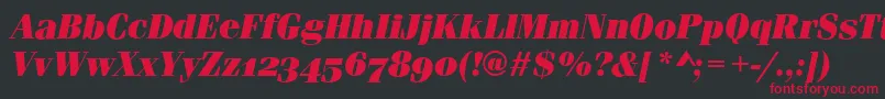 FerraraOsfUltraItalic Font – Red Fonts on Black Background