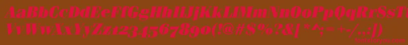 FerraraOsfUltraItalic Font – Red Fonts on Brown Background