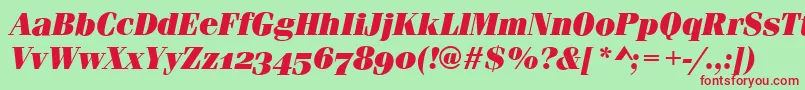 FerraraOsfUltraItalic Font – Red Fonts on Green Background