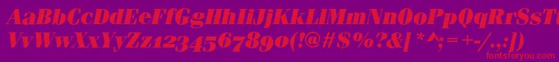 Шрифт FerraraOsfUltraItalic – красные шрифты на фиолетовом фоне