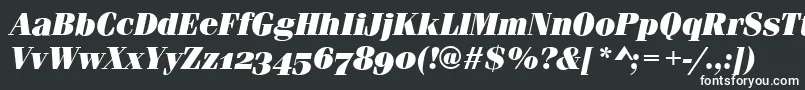 フォントFerraraOsfUltraItalic – 黒い背景に白い文字