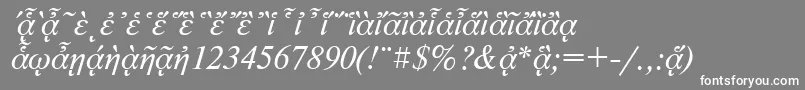 フォントNewtonpgttItalic – 灰色の背景に白い文字