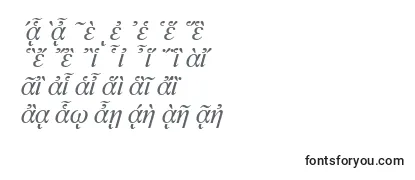NewtonpgttItalic Font