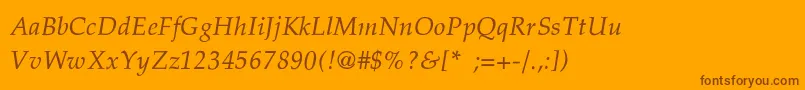 PalatinoThinItalic Font – Brown Fonts on Orange Background