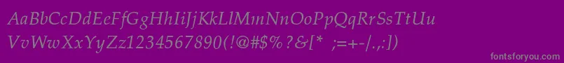 PalatinoThinItalic Font – Gray Fonts on Purple Background
