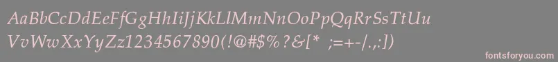 PalatinoThinItalic Font – Pink Fonts on Gray Background