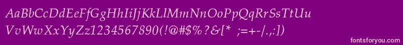 PalatinoThinItalic Font – Pink Fonts on Purple Background