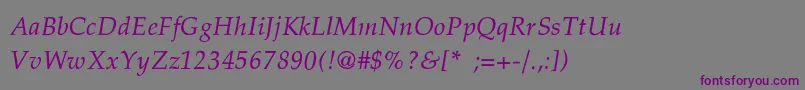 PalatinoThinItalic Font – Purple Fonts on Gray Background