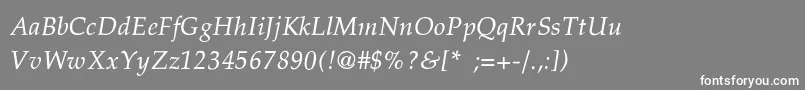 PalatinoThinItalic Font – White Fonts on Gray Background