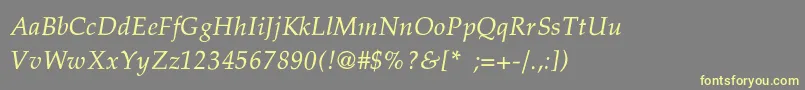 PalatinoThinItalic Font – Yellow Fonts on Gray Background