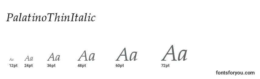 Größen der Schriftart PalatinoThinItalic