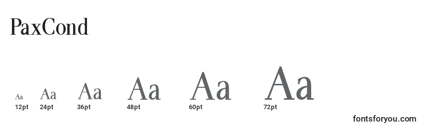 PaxCond Font Sizes