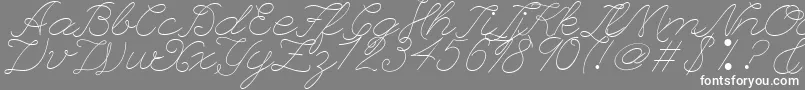 LeaguescriptnumberoneWebfont-fontti – valkoiset fontit harmaalla taustalla