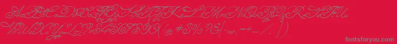 Angelica2-Schriftart – Graue Schriften auf rotem Hintergrund