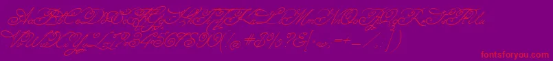 Angelica2-Schriftart – Rote Schriften auf violettem Hintergrund