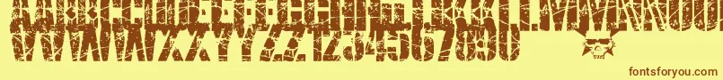 SmashPunkers1 Font – Brown Fonts on Yellow Background