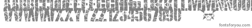 SmashPunkers1-Schriftart – Graue Schriften auf weißem Hintergrund