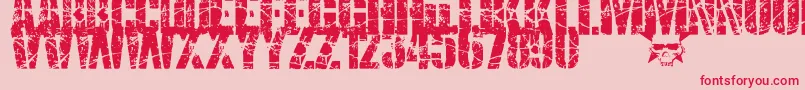 SmashPunkers1 Font – Red Fonts on Pink Background