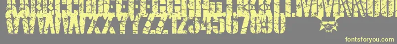 Шрифт SmashPunkers1 – жёлтые шрифты на сером фоне
