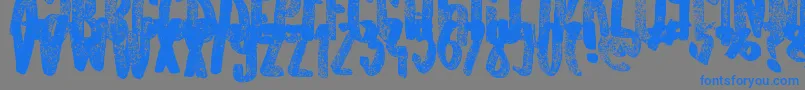 Police OldOriginals – polices bleues sur fond gris