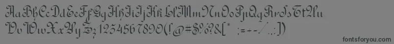 RondoAncientone Font – Black Fonts on Gray Background