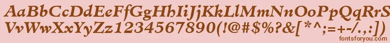 MinisterLtBoldItalic Font – Brown Fonts on Pink Background