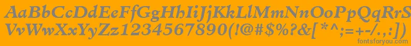 MinisterLtBoldItalic Font – Gray Fonts on Orange Background